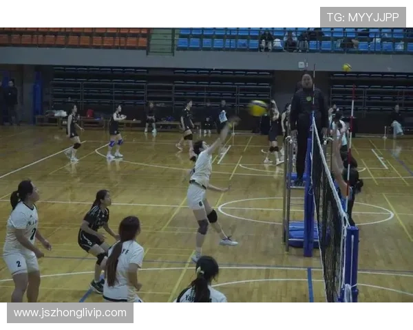 西安排球队在排球团队协作中创下新高展现出卓越的团队精神与默契配合